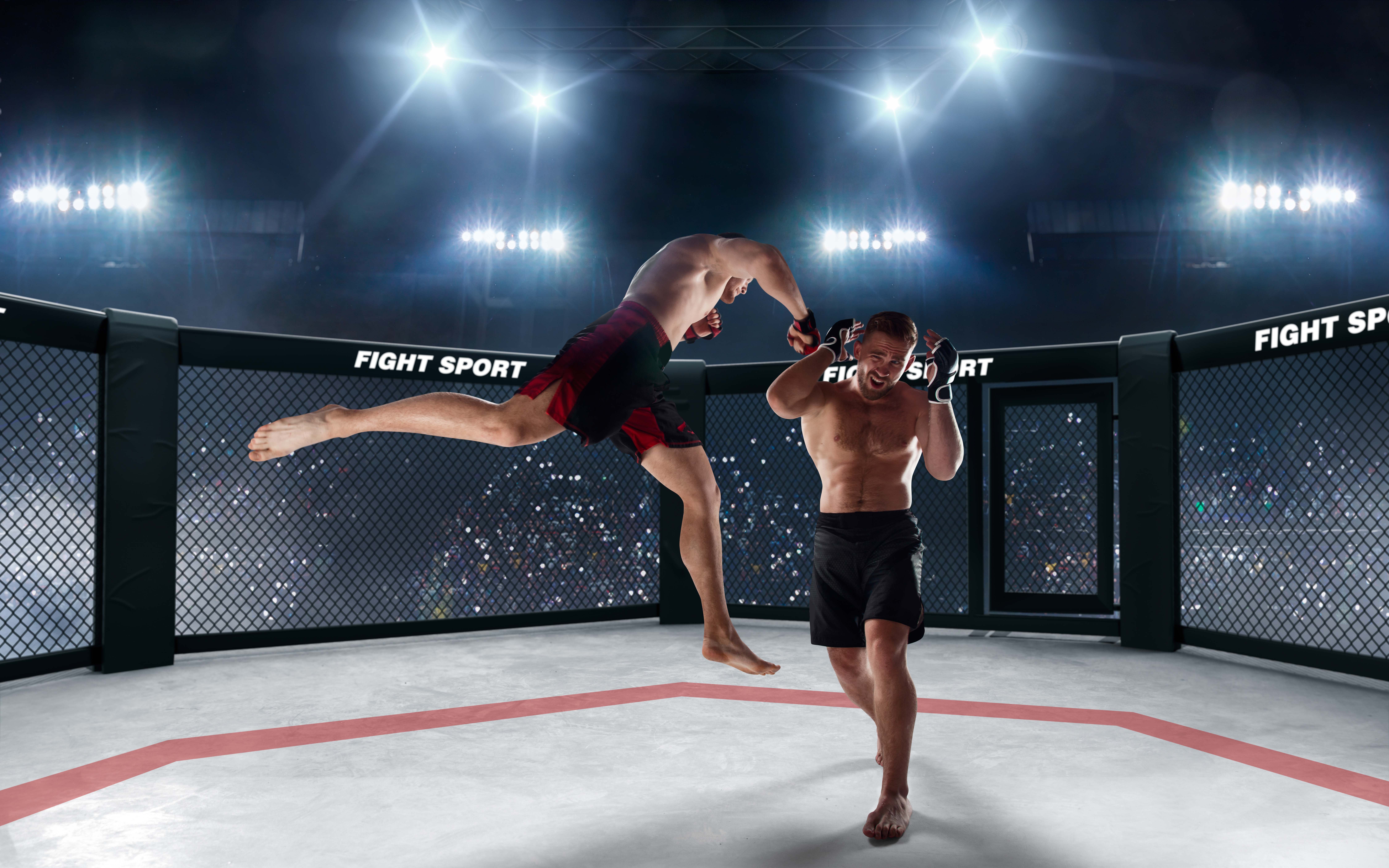 Mixed Martial Arts